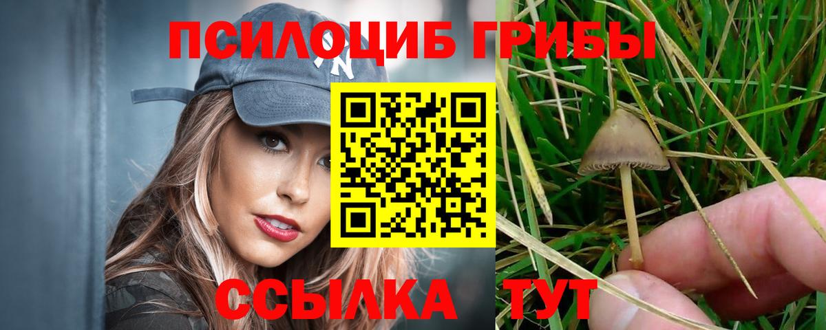 Псилоцибиновые грибы MAGIC MUSHROOMS  Псилоцибиновые грибы Psilocybine cubensis  Россия  Вход с VPN 