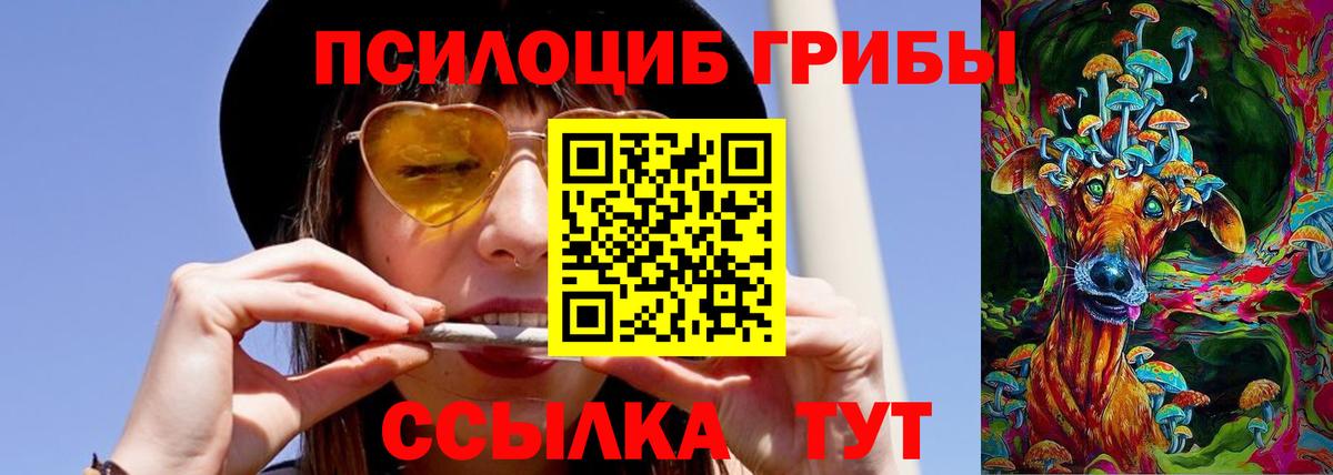 Галлюциногенные грибы мицелий Россия
