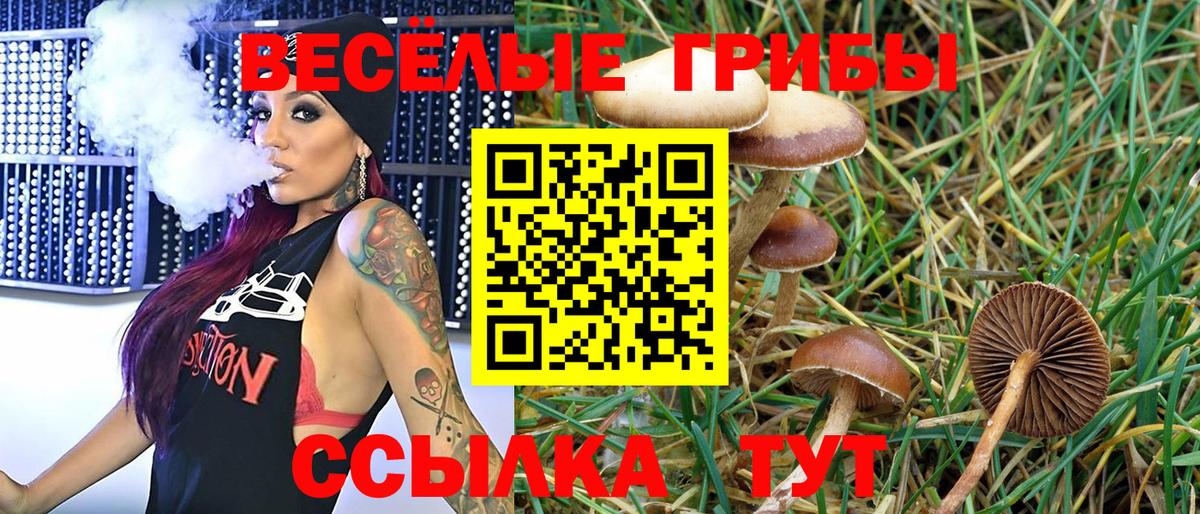 Бошки Шишки Россия